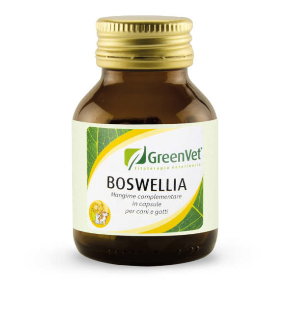 greenvet boswellia