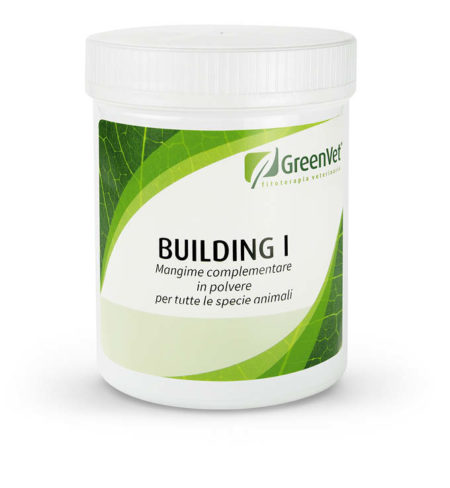 greenvet building 1